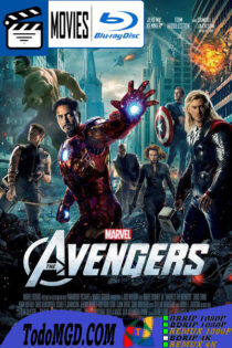 Avengers (2012) Latino – Ingles [BluRay Rip] [1080p-4K]