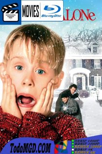 Mi Pobre Angelito (1990) REMASTERIZADO Latino – Ingles [BluRay Rip] [1080p-4K]