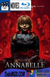 Annabelle 3: Vuelve a Casa (2019) Full HD Latino – Ingles [Mega-Google Drive] [1080p]