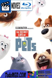 La Vida Secreta de tus Mascotas (2016) Latino – Ingles [BluRay Rip] [1080p-4K]