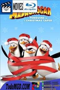 Los Pinguinos De Madagascar En Travesura Navideña (2005) Latino – Ingles [BluRay Rip] [1080p]