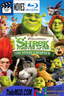 Shrek 4: Felices Para Siempre (2010) Latino – Ingles [BluRay Rip] [1080p-4K]