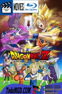 Dragon Ball Z: La Batalla de los Dioses (2013) UNCUT/EXTENDED Latino – Japones [BluRay Rip] [1080p]
