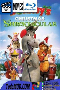La Shrektacular Navidad de Burro (2010) Latino – Ingles [BluRay Rip] [1080p]