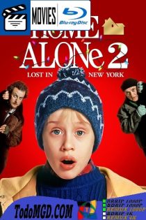 Mi Pobre Angelito 2: Perdido en Nueva York (1992) Latino – Ingles [BluRay Rip] [1080p]