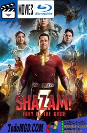 ¡Shazam! La furia de los dioses (2023) Latino – Ingles [Mega-Google Drive] [1080p-4K]
