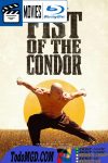 El Puño del Condor (2023) Latino [Mega-Google Drive] [1080p]