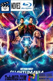 Ant-Man y la Avispa: Quantumania (2023) Latino – Ingles [Mega-Google Drive] [1080p-4K]