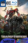Transformers: El despertar de las bestias (2023) Latino – Ingles [Mega-Google Drive] [1080p-4K]