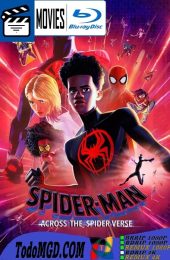 Spider-Man: A traves del Spider-Verso (2023) Latino – Ingles [Mega-Google Drive] [1080p-4K]