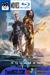 Aquaman y el reino perdido (2023) Latino – Ingles [Mega-Google Drive] [1080p-4K]