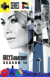 Anatomia de Grey – Temporada 14 (2017) Serie HD Latino – Ingles [Mega-Google Drive] [1080p]