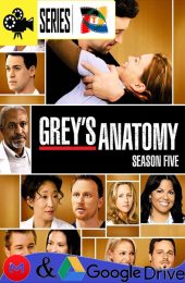 Anatomia de Grey – Temporada 5 (2008) Serie HD Latino – Ingles [Mega-Google Drive] [1080p]