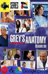 Anatomia de Grey – Temporada 6 (2009) Serie HD Latino – Ingles [Mega-Google Drive] [1080p]