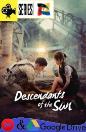 Descendientes del Sol – Temporada 1 (2016) Serie HD Coreano SUB [WEB-DL] [1080p]