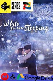 Mientras Dormias – Temporada 1 (2017) Serie HD Coreano SUB [WEB-DL] [1080p]