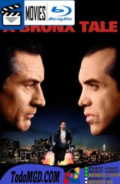 El desafio: Una historia del Bronx (1993) Latino – Ingles [BluRay Rip] [1080p]