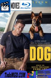 Dog: Un viaje salvaje (2022) Latino – Ingles [BluRay Rip] [1080p]