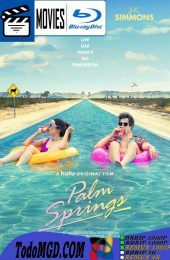 Palm Springs (2020) Latino – Ingles [BluRay Rip] [1080p]