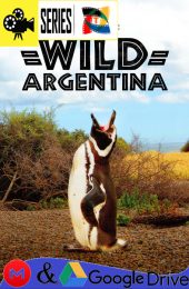 Wild Argentina – Temporada 1 (2017) Serie HD Latino – Ingles [WEB-DL] [1080p]