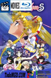 Sailor Moon S: El amor de la princesa Kaguya (1994) Latino – Japones [BluRay Rip] [1080p]