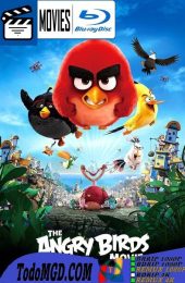 Angry Birds: La Pelicula (2016) Latino – Ingles [BluRay Rip] [1080p-4K]
