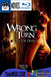 Camino Hacia el Terror 3: Abandonado para Morir (2009) Latino – Ingles [BluRay Rip] [1080p-4K]