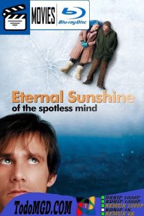 Eterno resplandor de una mente sin recuerdos (2004) REMASTERIZADO Latino – Ingles [BluRay Rip] [1080p-4K]