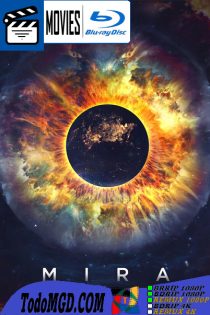 12 horas para el fin del mundo (2022) Latino – Ruso [BluRay Rip] [1080p-4K]