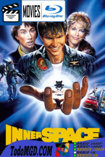 Viaje insolito (1987) Latino – Ingles [BluRay Rip] [1080p-4K]