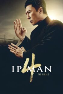 Ip Man 4: El Final (2019) Latino – Chino [BluRay Rip] [1080p-4K]