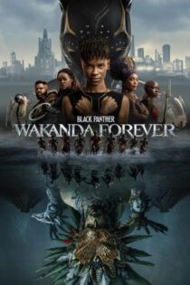 Pantera Negra: Wakanda por Siempre (2022) Latino – Ingles [BluRay Rip] [1080p-4K]