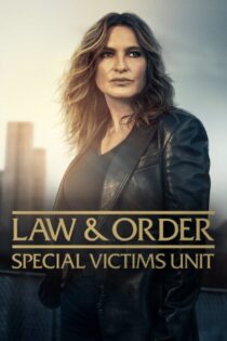 La Ley y el Orden: Unidad de Victimas Especiales – Temporada 1 (1999) Serie HD Latino – Ingles [WEB-DL] [1080p]