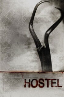 Hostal (2005) UNRATED Latino – Ingles [BluRay Rip] [1080p-4K]