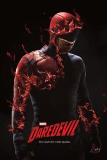 Daredevil – Temporada 3 (2018) Serie HD Latino – Ingles [WEB-DL] [1080p-4K]