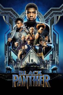 Pantera Negra (2018) Latino – Ingles [BluRay Rip] [1080p-4K]