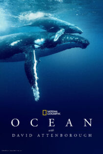 Oceanos, con David Attenborough (2025) Castellano – Ingles [BluRay Rip] [1080p]