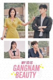 La Belleza de Gangnam – Temporada 1 (2018) Serie HD Latino – Coreano [WEB-DL] [1080p]