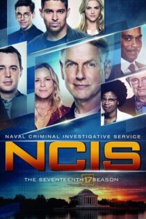 NCIS: Criminología Naval – Temporada 17 (2019) Serie HD Latino – Ingles [WEB-DL] [1080p]