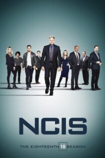 NCIS: Criminología Naval – Temporada 18 (2020) Serie HD Latino – Ingles [WEB-DL] [1080p]