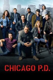 Policías de Chicago – Temporada 3 (2015) Serie HD Latino – Ingles [WEB-DL] [1080p]
