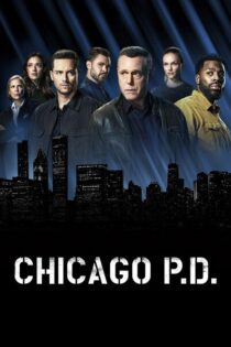 Policías de Chicago – Temporada 5 (2017) Serie HD Latino – Ingles [WEB-DL] [1080p]