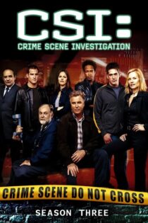 CSI: Las Vegas – Temporada 3 (2002) Serie HD Latino – Ingles [WEB-DL] [1080p]