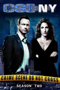 CSI: Nueva York – Temporada 2 (2005) Serie HD Latino – Ingles [WEB-DL] [1080p]