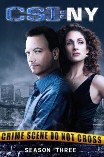 CSI: Nueva York – Temporada 3 (2006) Serie HD Latino – Ingles [WEB-DL] [1080p]