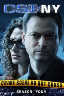 CSI: Nueva York – Temporada 4 (2007) Serie HD Latino – Ingles [WEB-DL] [1080p]