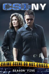 CSI: Nueva York – Temporada 5 (2008) Serie HD Latino – Ingles [WEB-DL] [1080p]