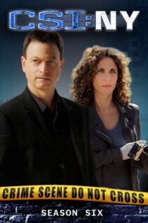 CSI: Nueva York – Temporada 6 (2009) Serie HD Latino – Ingles [WEB-DL] [1080p]