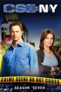CSI: Nueva York – Temporada 7 (2010) Serie HD Latino – Ingles [WEB-DL] [1080p]