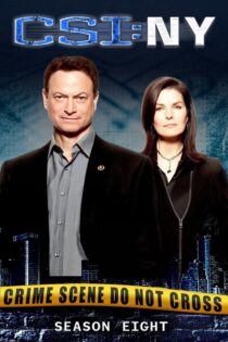 CSI: Nueva York – Temporada 8 (2011) Serie HD Latino – Ingles [WEB-DL] [1080p]